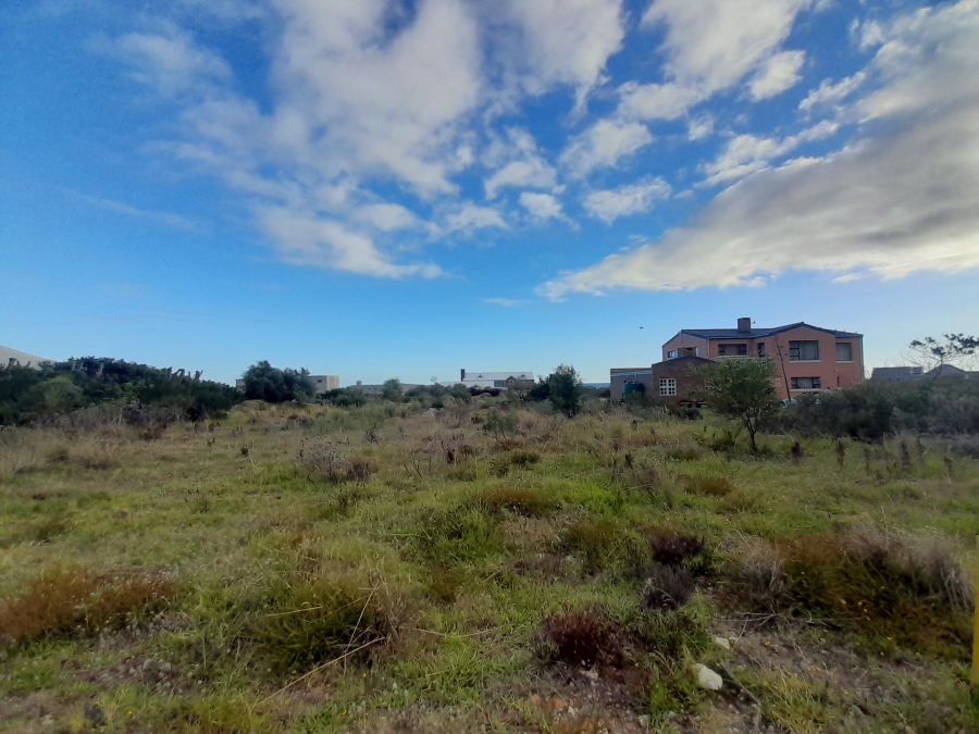 0 Bedroom Property for Sale in Bettys Bay Western Cape